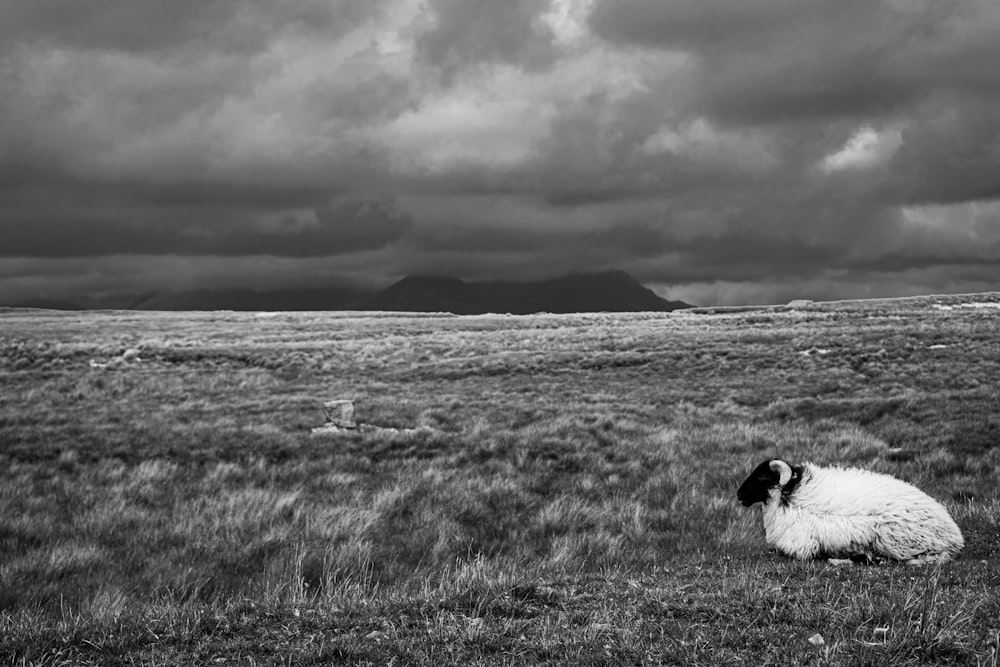 grayscale photo of a man in a field