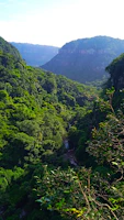 A vibrant outdoor film shoot in the lush greenery of Valle del Tiétar.