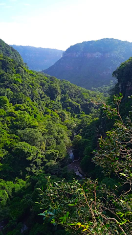 A vibrant outdoor film shoot in the lush greenery of Valle del Tiétar.