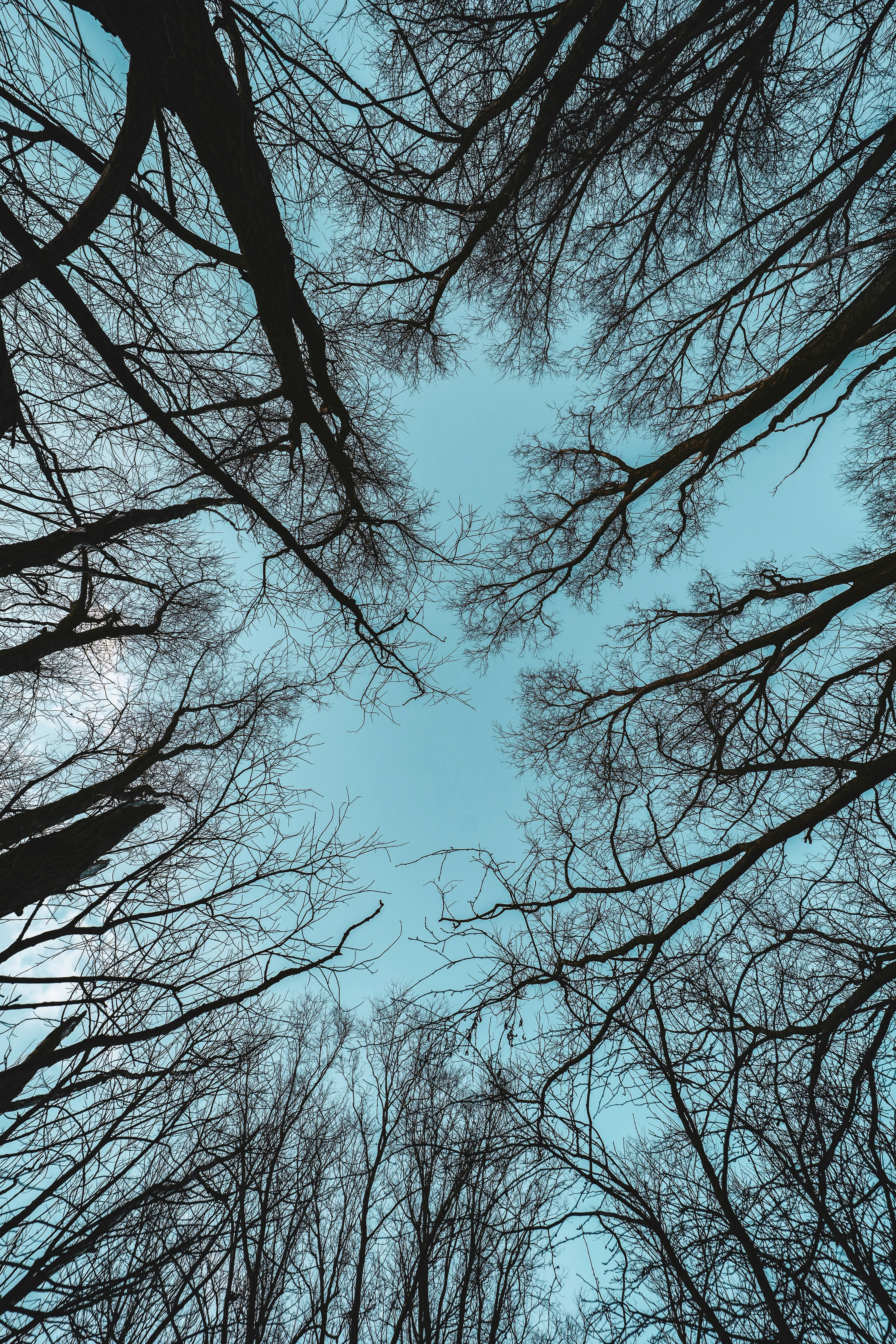 Photo by grievek1610begur