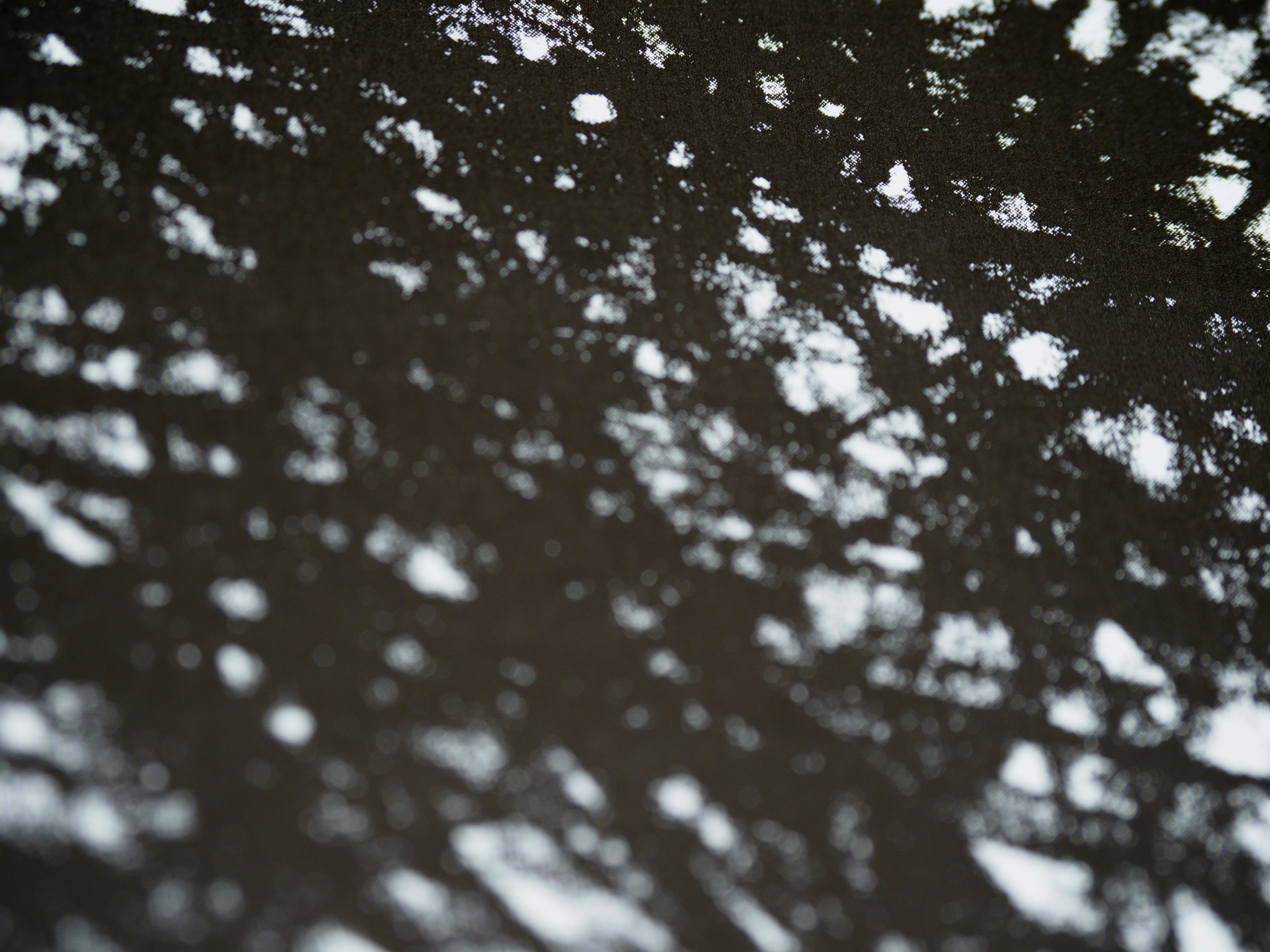 Photo by brett_jordan