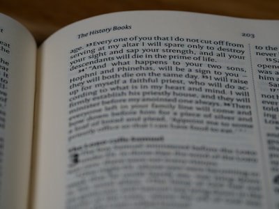 A close-up view of an open book displaying a page with text, focused on a section titled 'The History Books'. The text is printed in a serif font on an off-white page, with the page number 203 visible at the top corner.