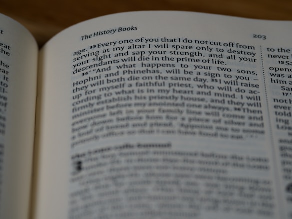 A close-up view of an open book displaying a page with text, focused on a section titled 'The History Books'. The text is printed in a serif font on an off-white page, with the page number 203 visible at the top corner.