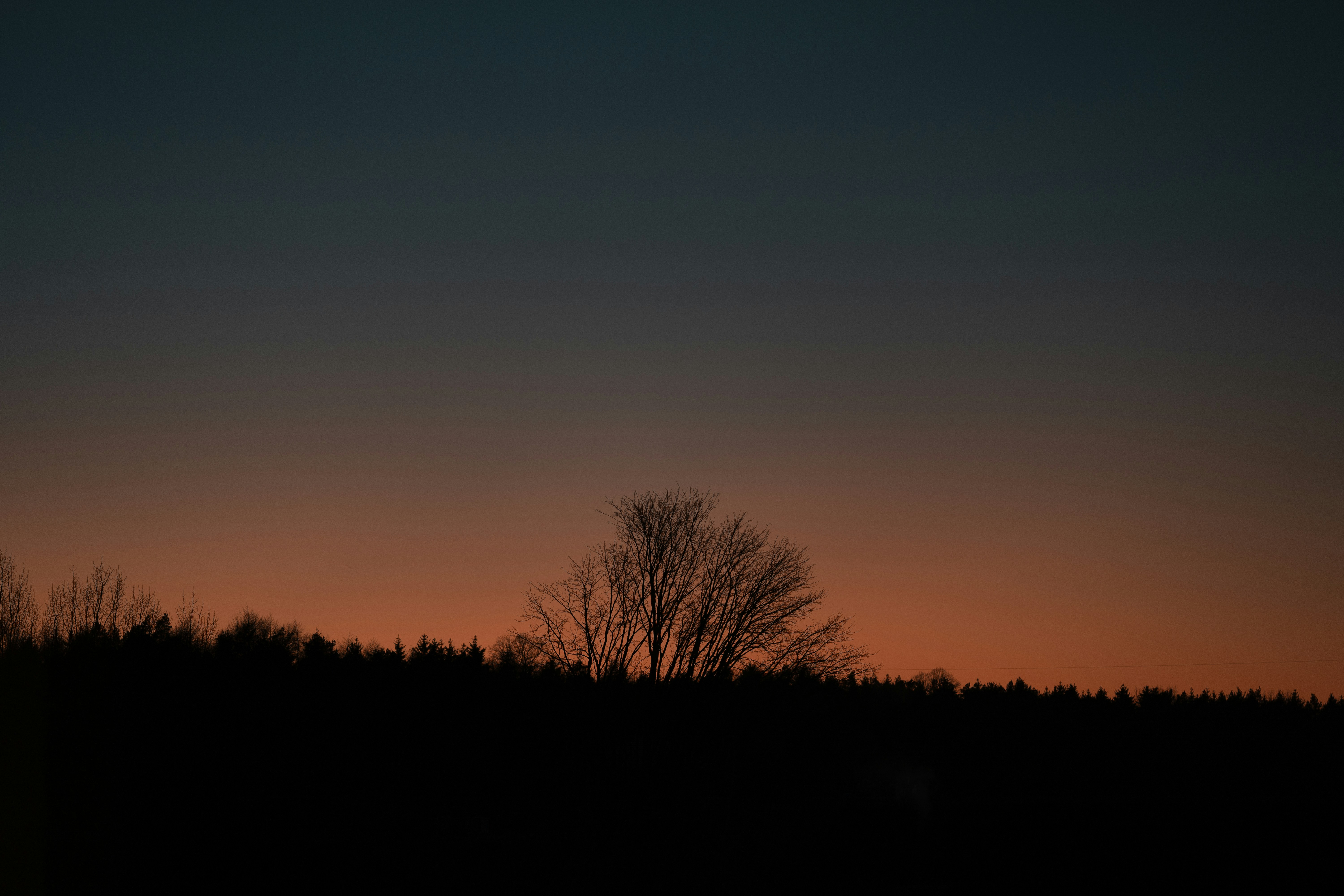 Photo by omarvellous14