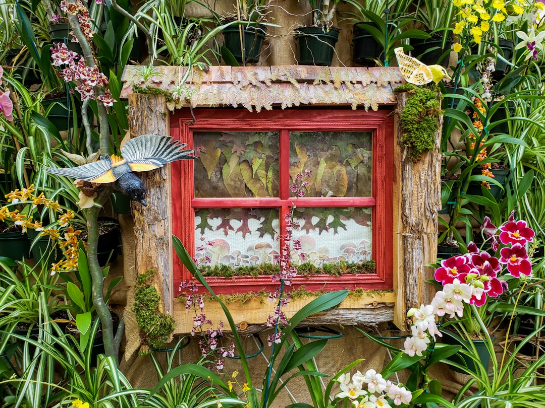 brown wooden framed glass window