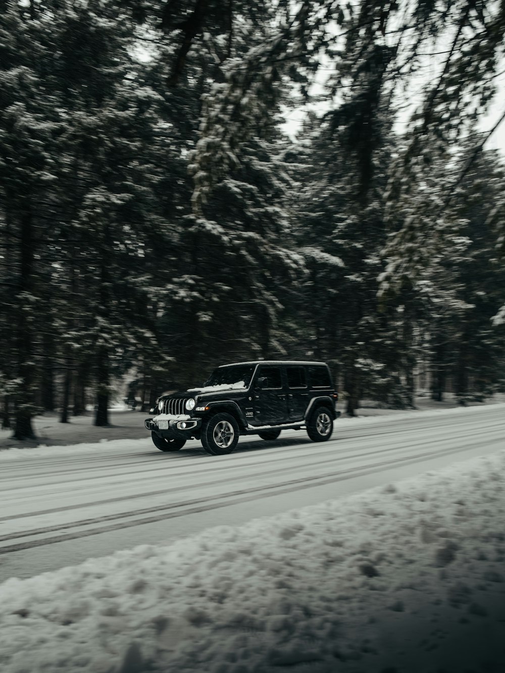 black suv on road between trees during daytime