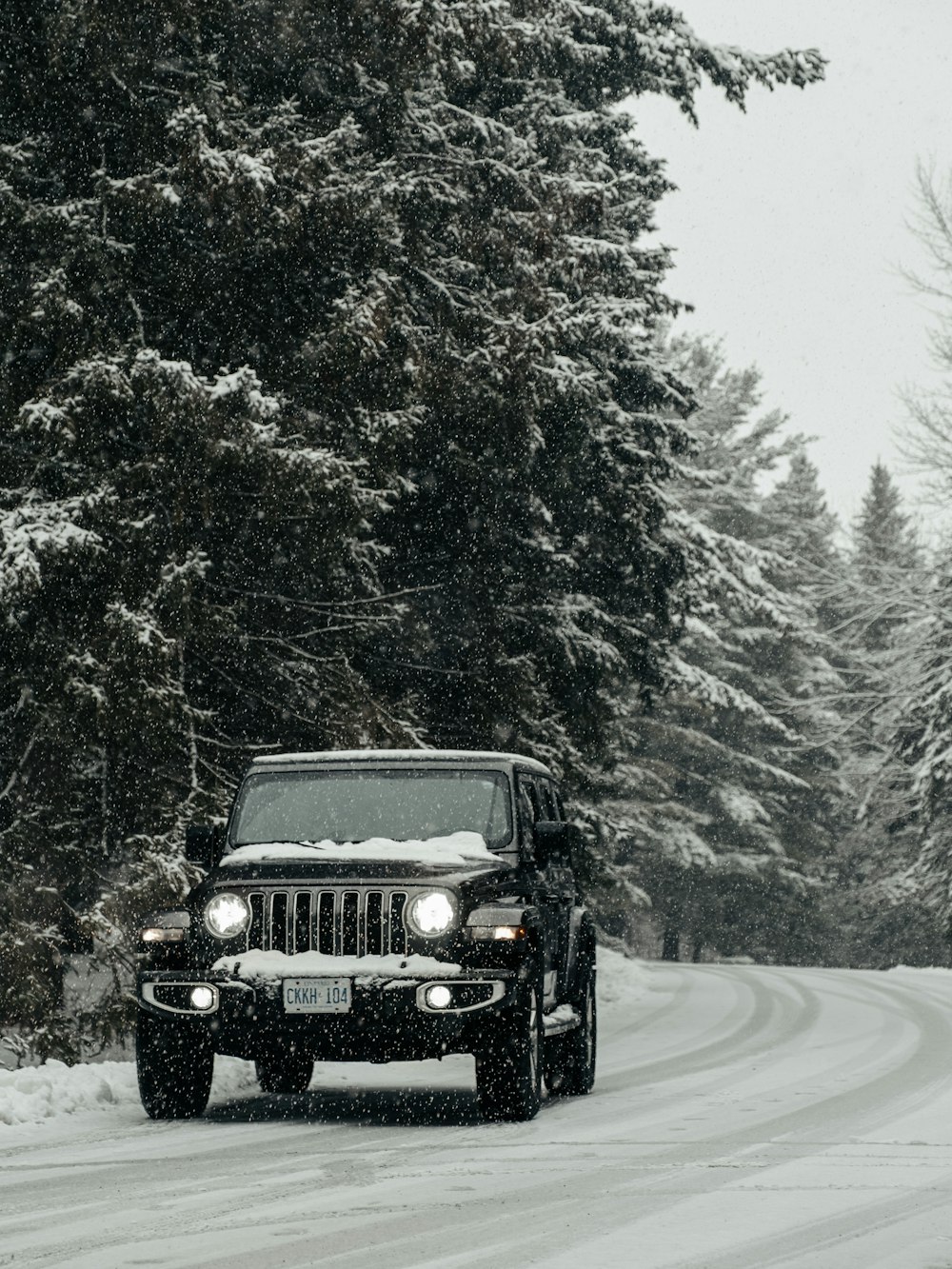 black jeep wrangler on road in between trees during daytime