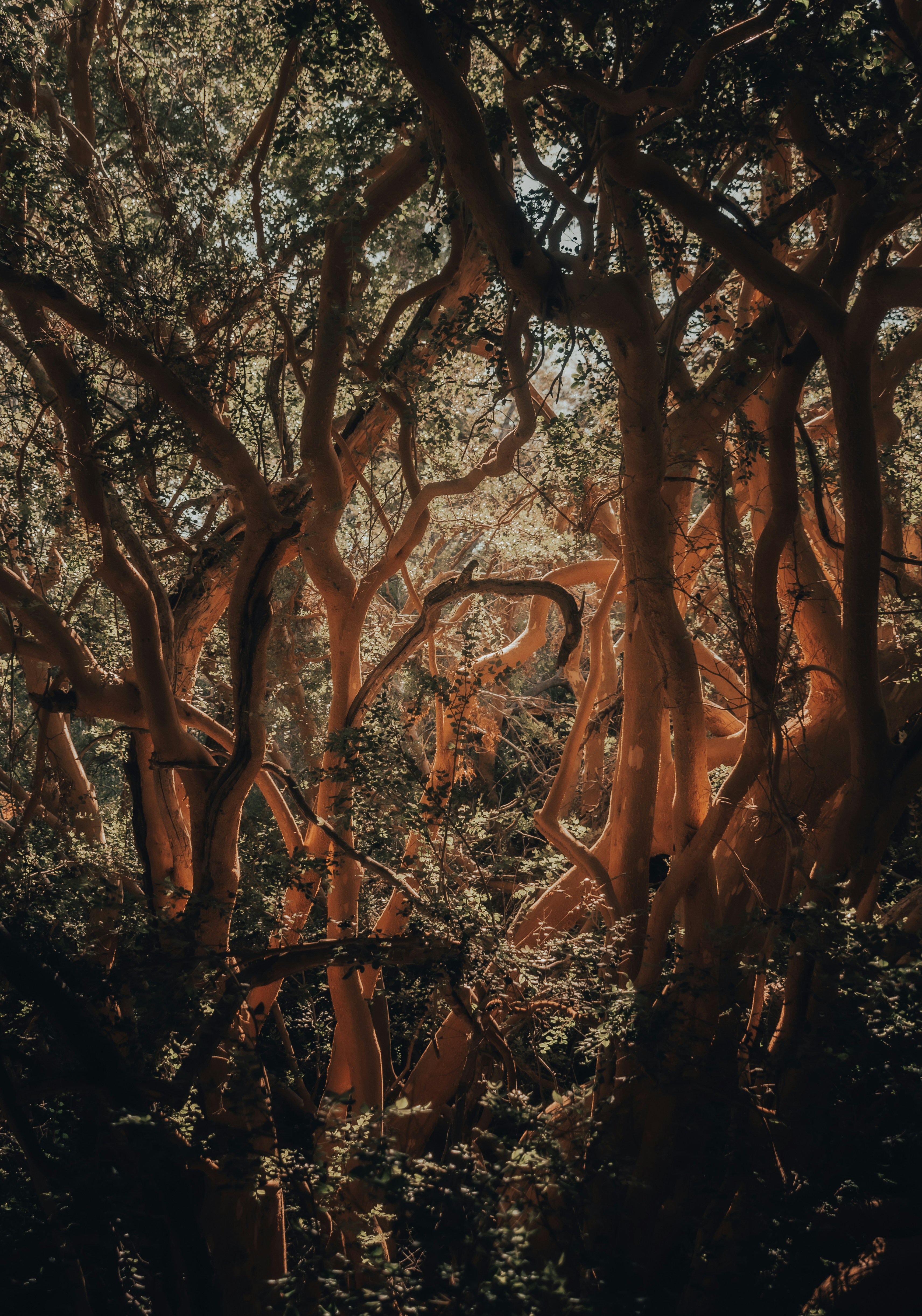 Photo by gasparzaldo