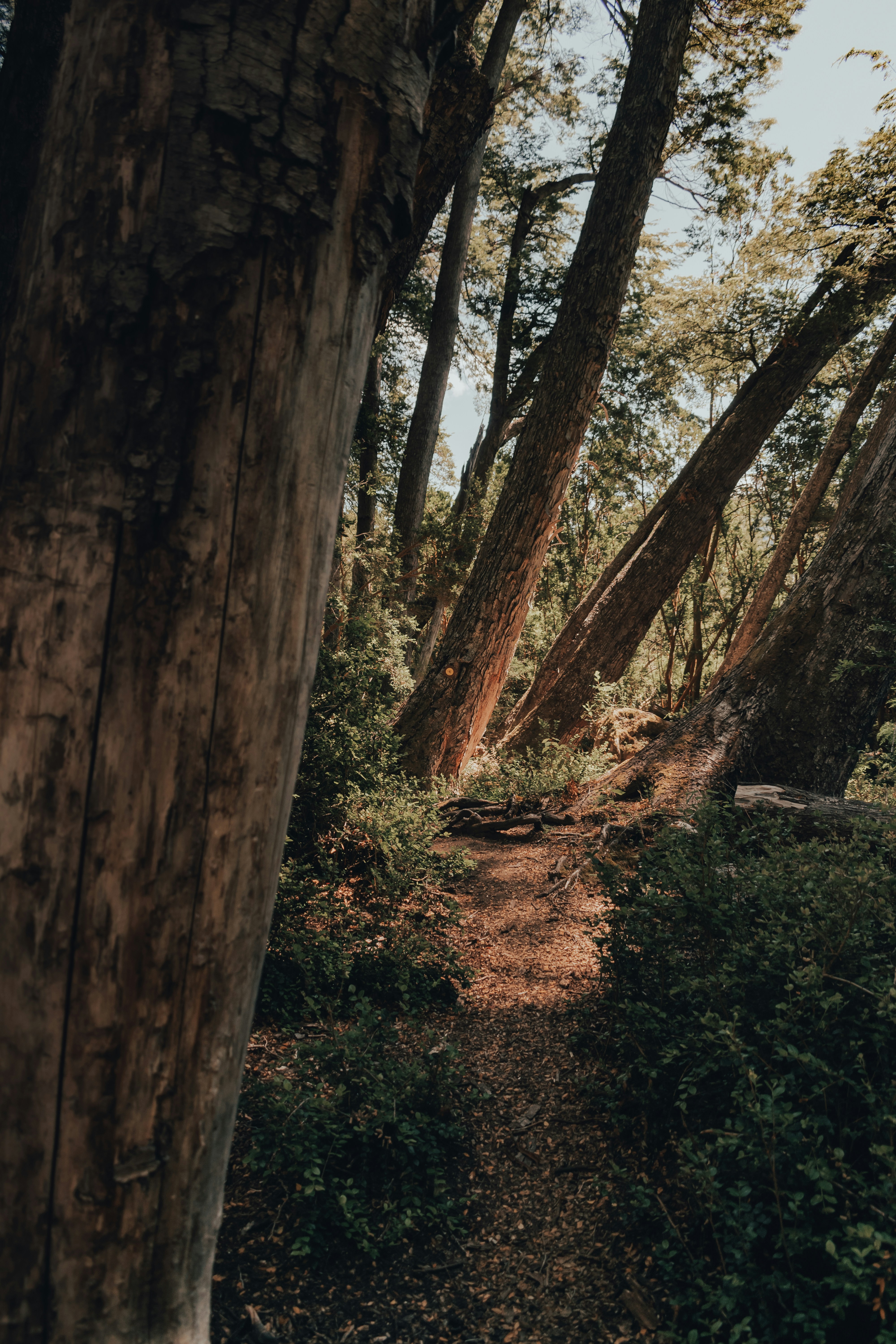 Photo by gasparzaldo