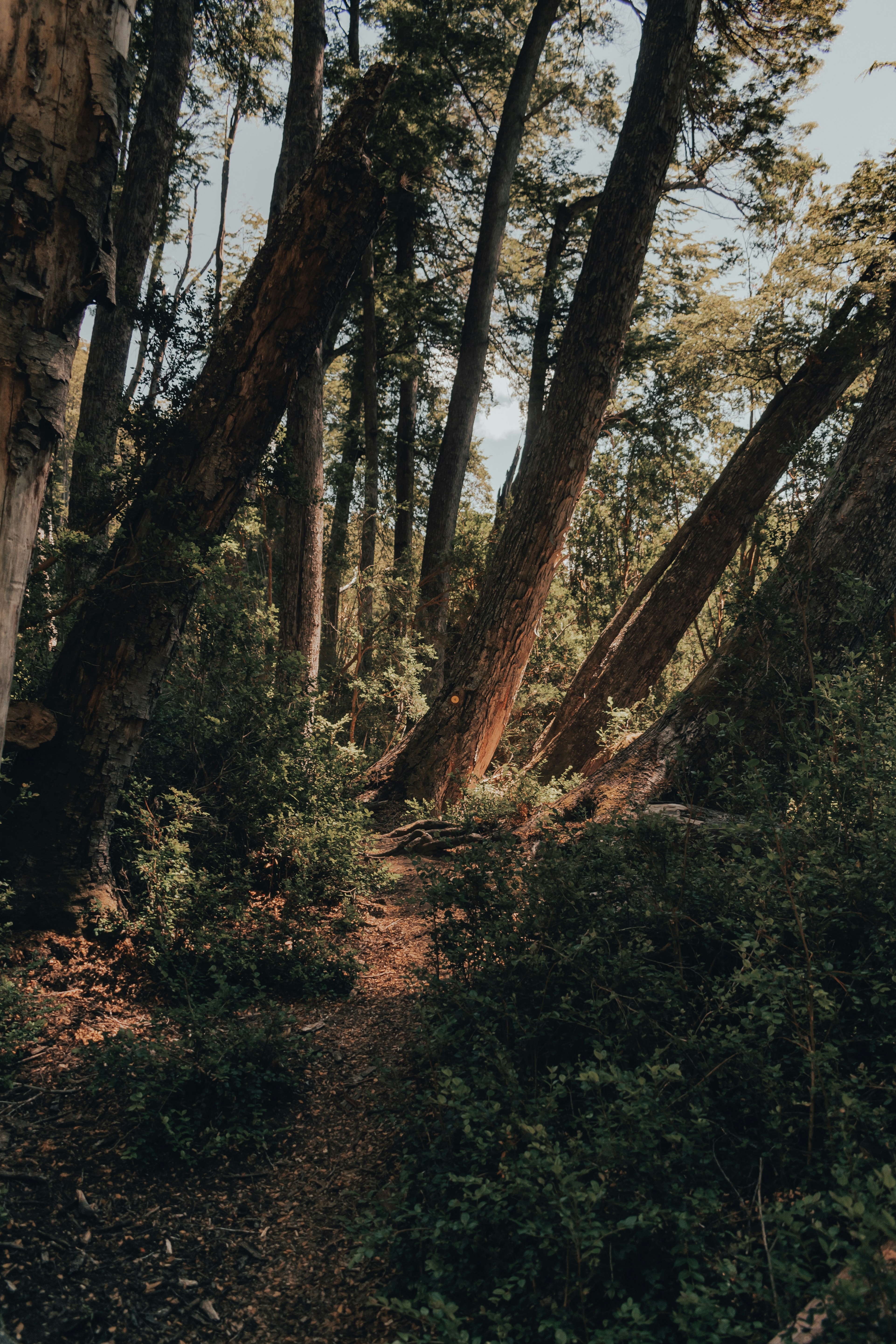 Photo by gasparzaldo