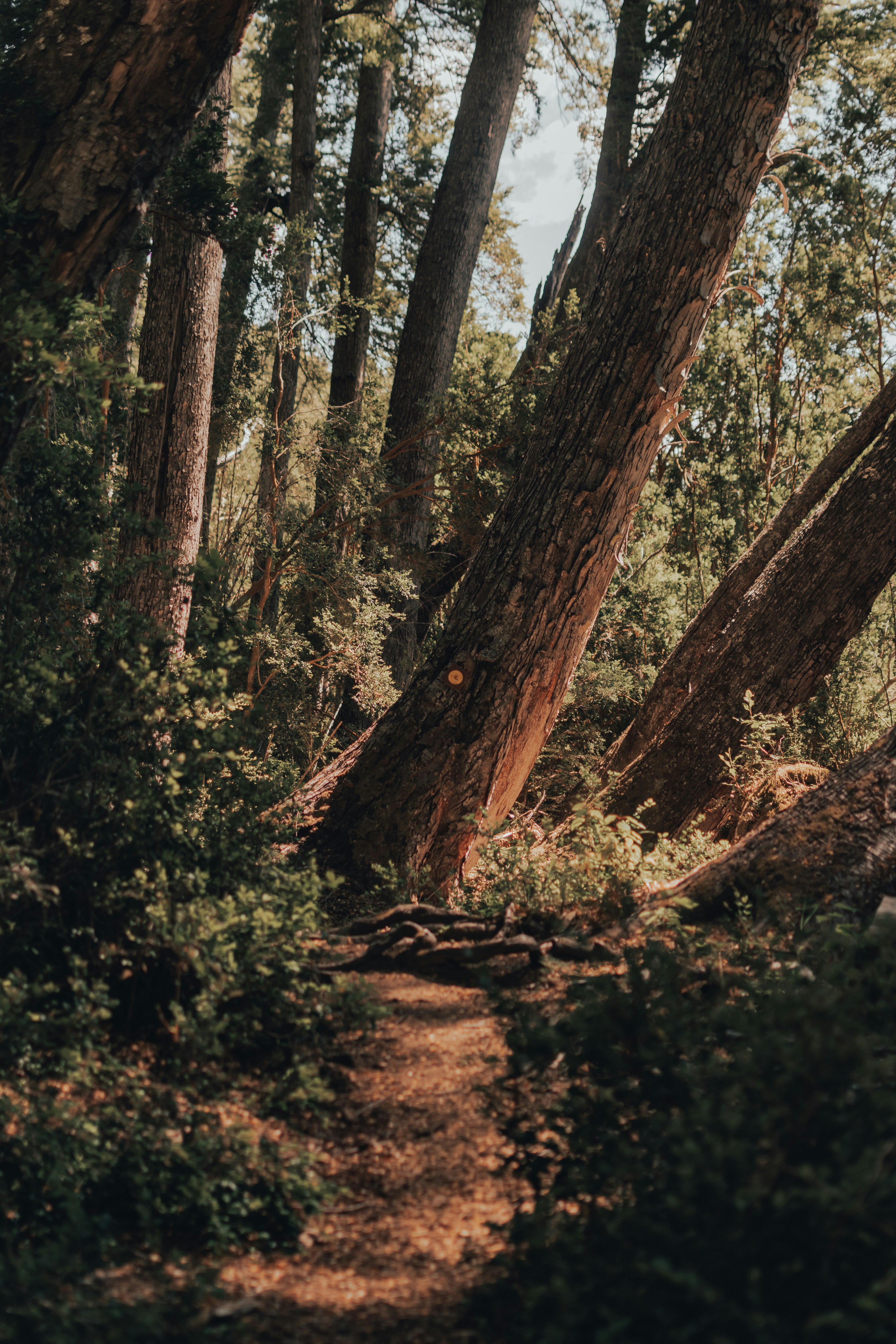 Photo by gasparzaldo