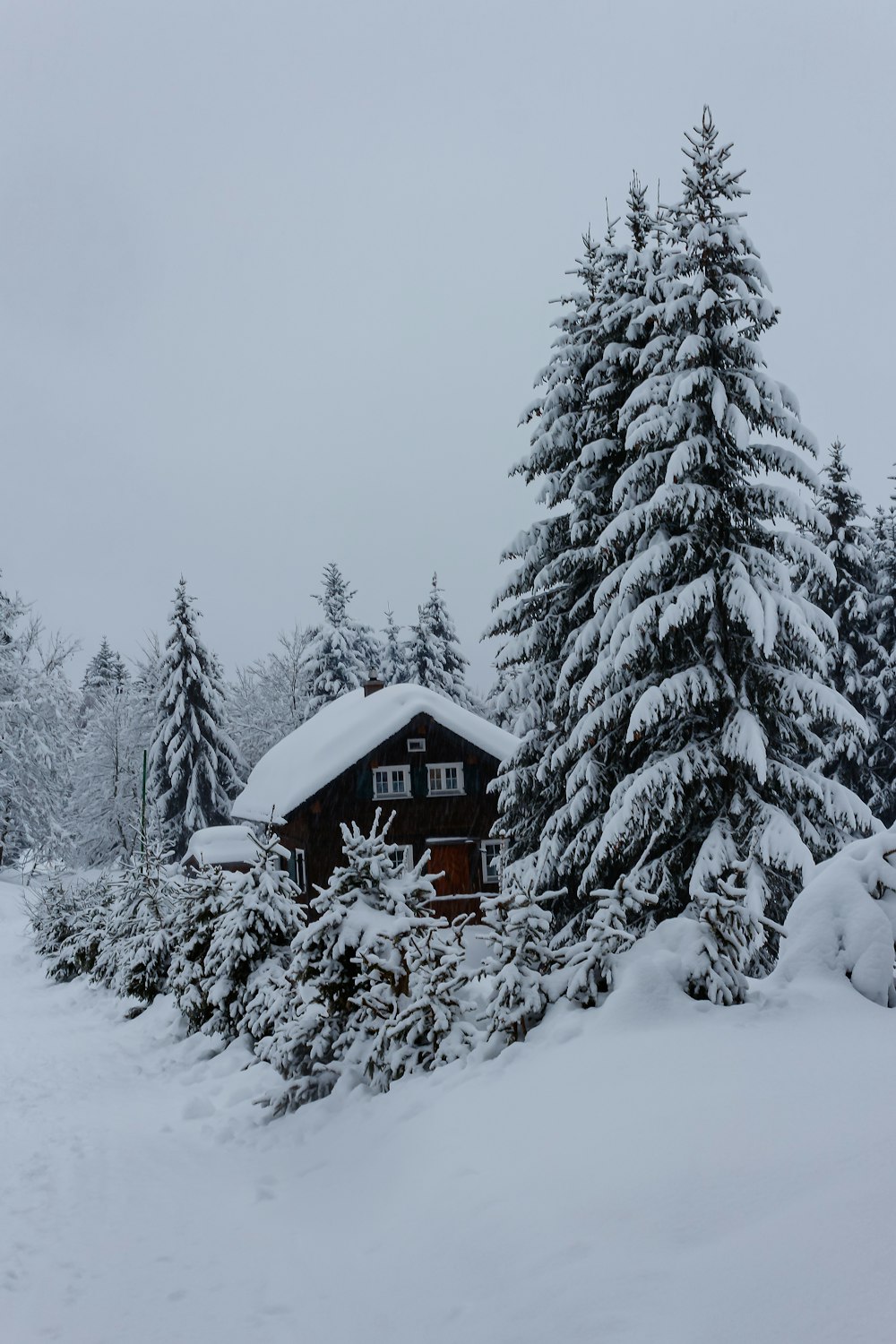 brown wooden house covered with snow near green pine trees during daytime