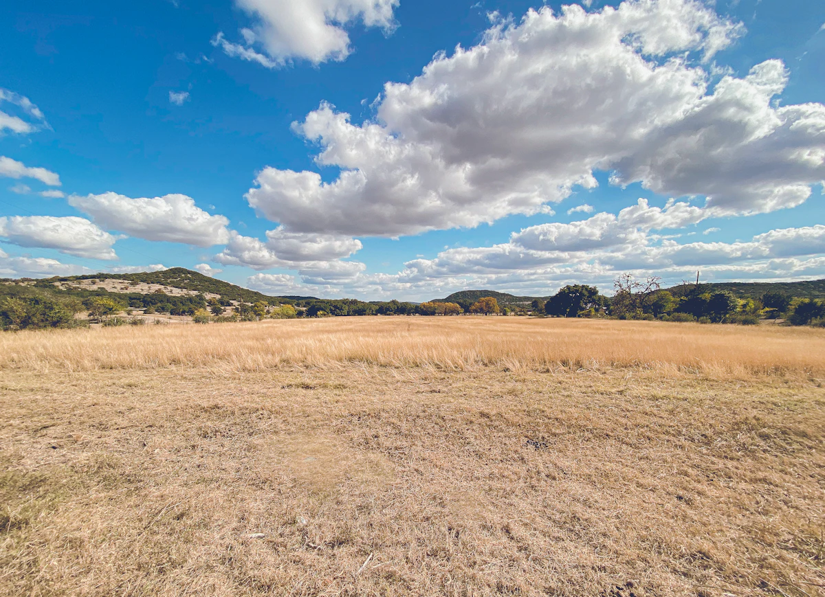 A field of dry grass near Bandera, Texas, with low wooded hills and big white clouds