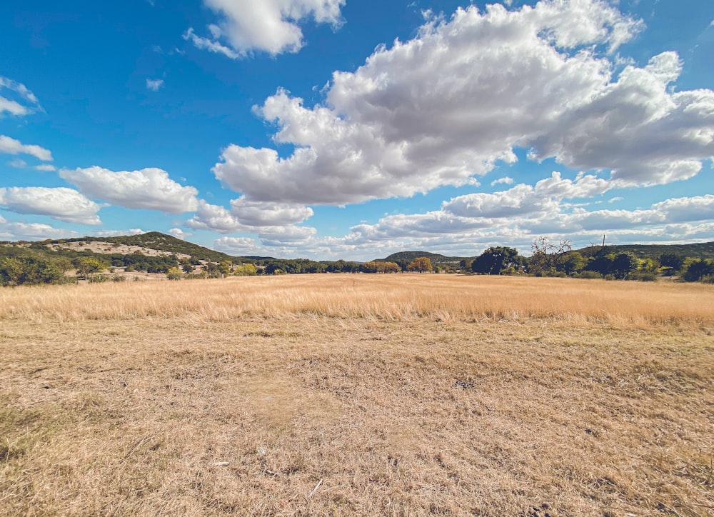 brown grass field under blue sky and white clouds during daytime