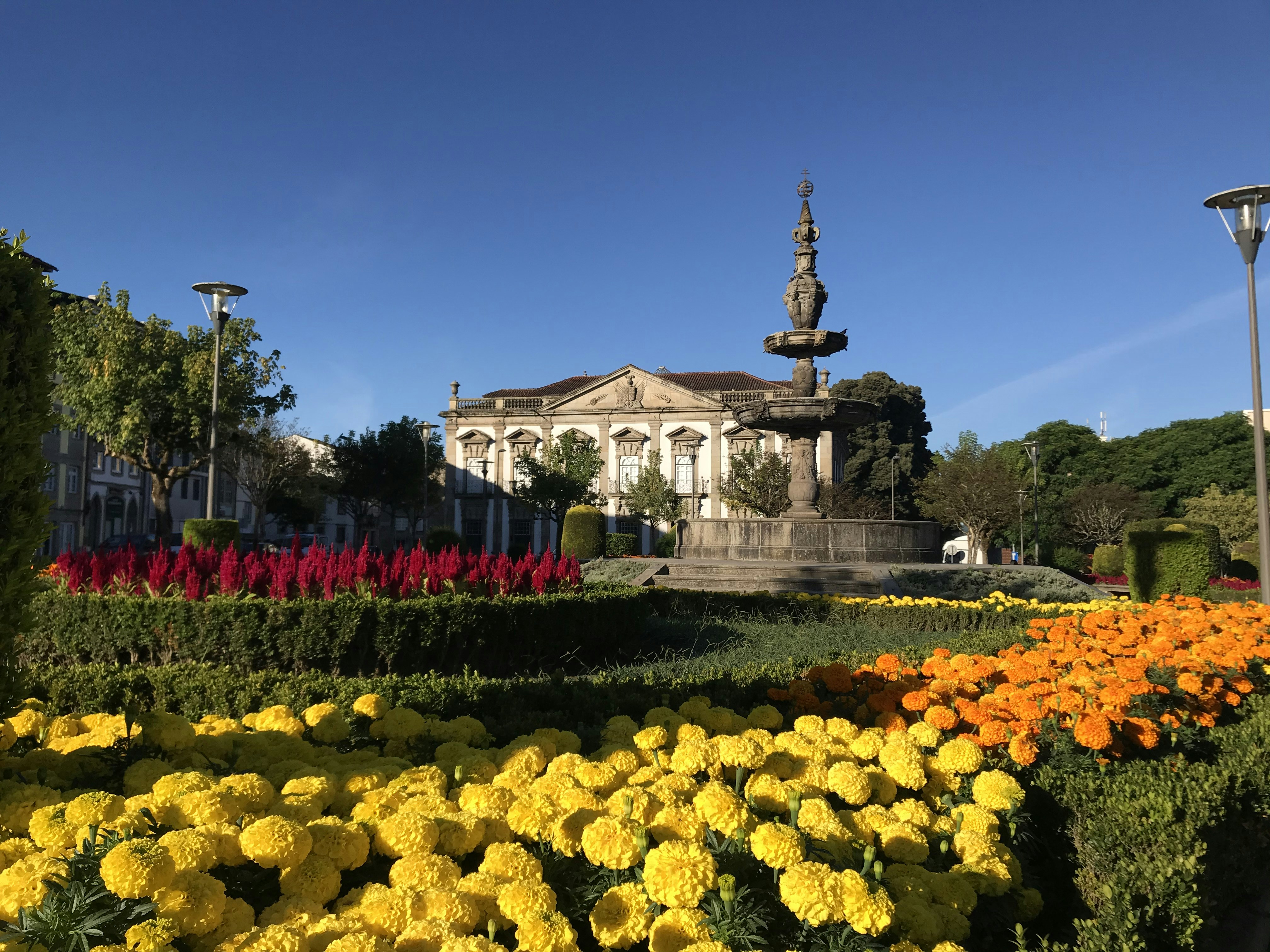 Parque Amieiro Galego