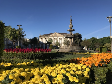 Budget Friendly day trip to Braga from Porto