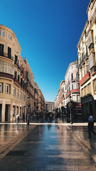 people walking on street between buildings during daytime