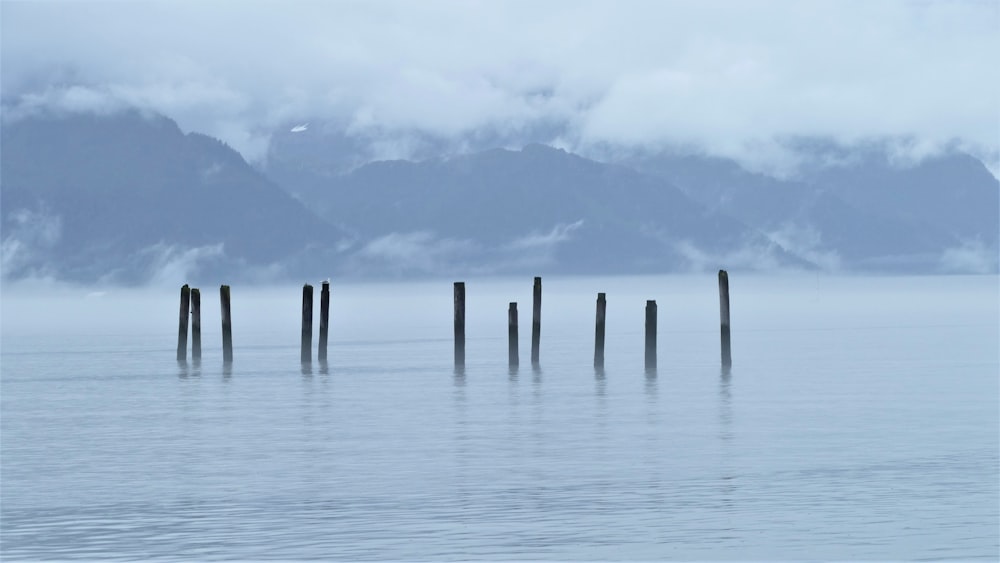 Poteaux en bois brun sur la mer sous les nuages blancs pendant la journée
