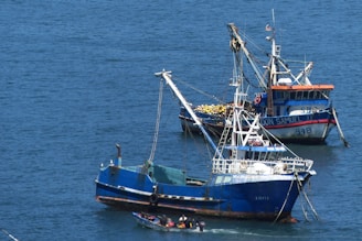 Two fishing boats with blue hulls are anchored in calm ocean waters. One boat has a visible name on the side and fishing equipment on deck. The smaller boat appears to be ferrying people or goods nearby.