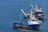 Two fishing boats with blue hulls are anchored in calm ocean waters. One boat has a visible name on the side and fishing equipment on deck. The smaller boat appears to be ferrying people or goods nearby.
