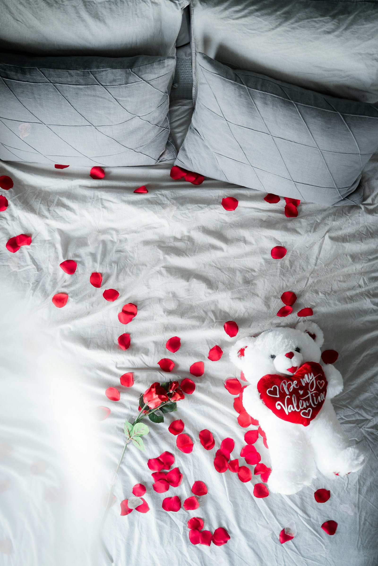 Happy Valentine's Day!!!
