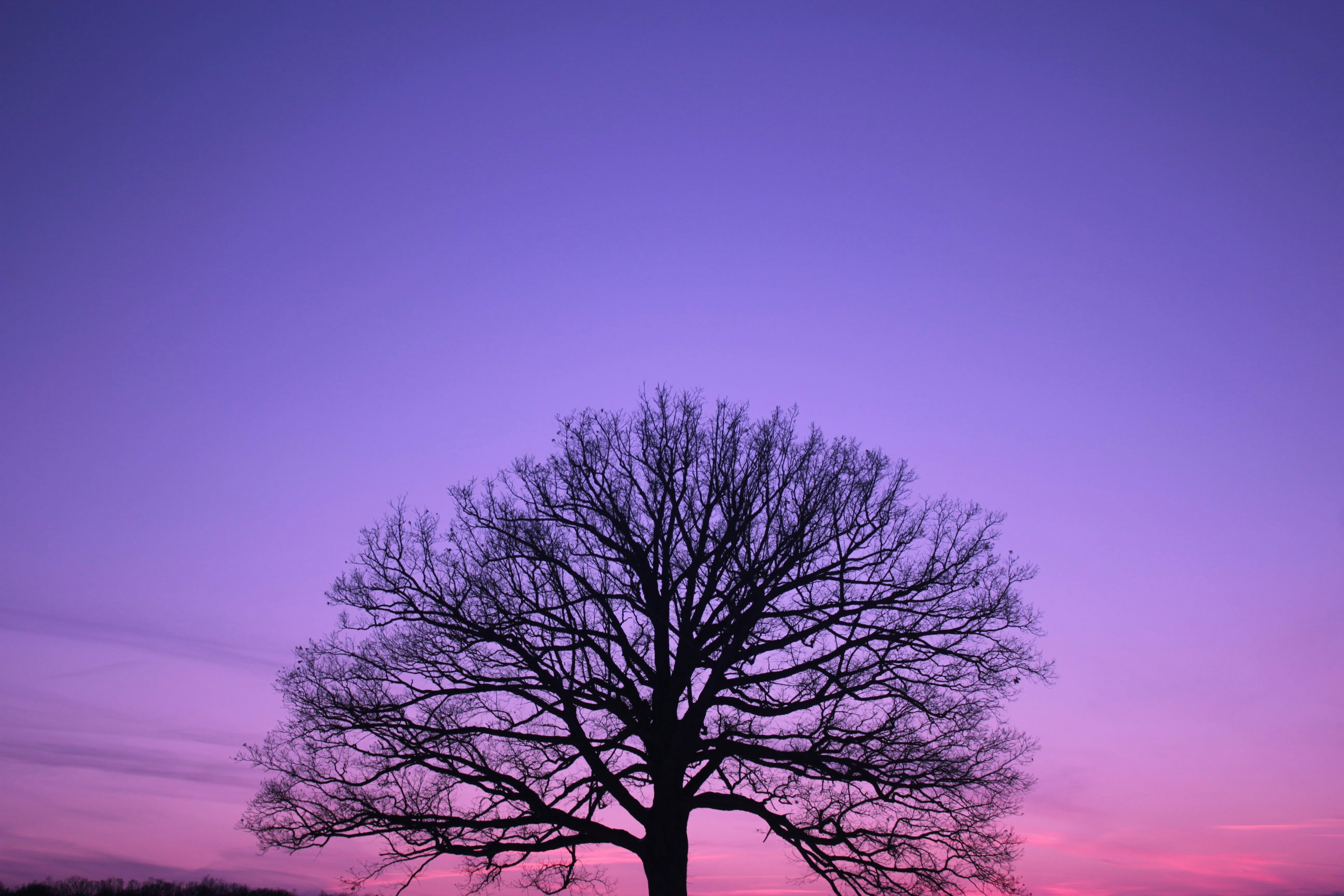 Photo by mrgreatheart