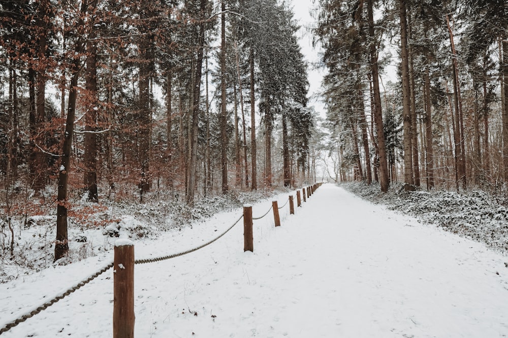 brown wooden fence on snow covered ground