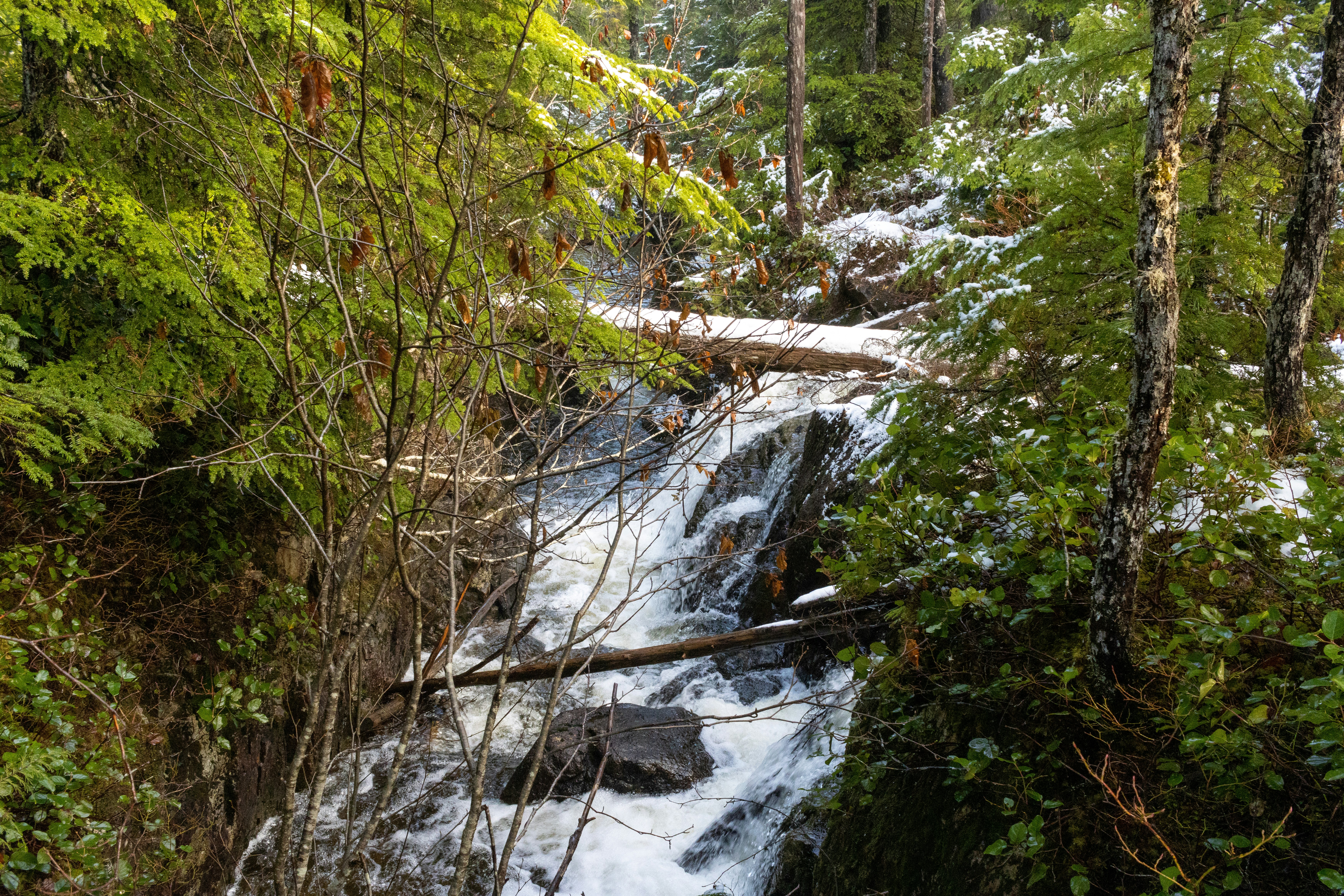 Photo by izzyatthelookout