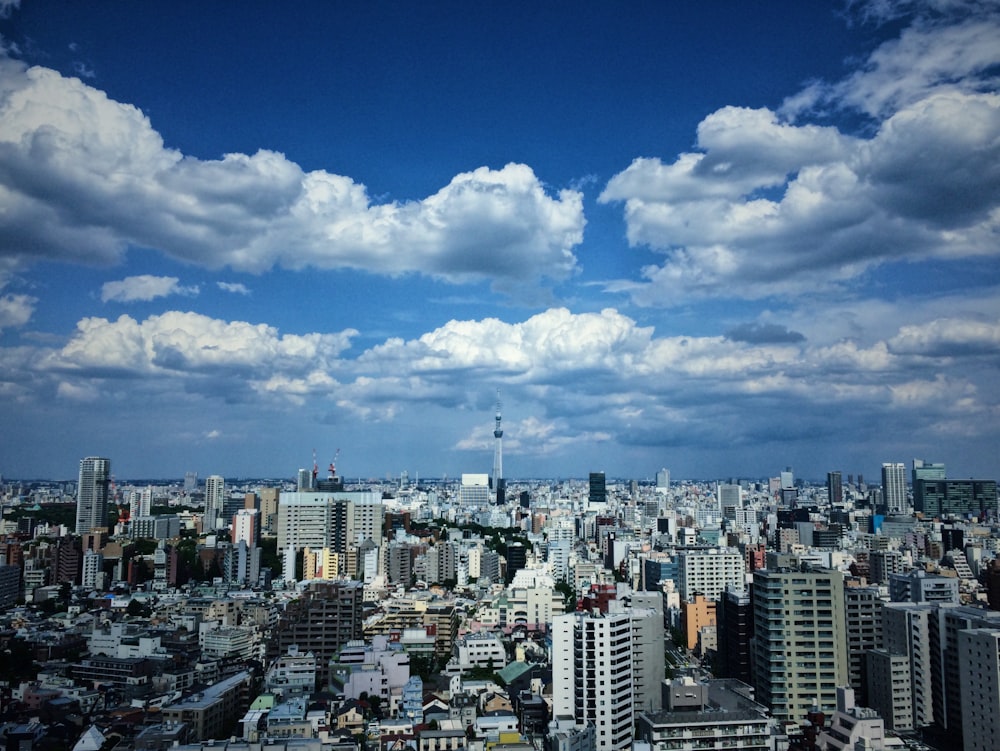 skyline della città sotto il cielo nuvoloso blu e bianco durante il giorno
