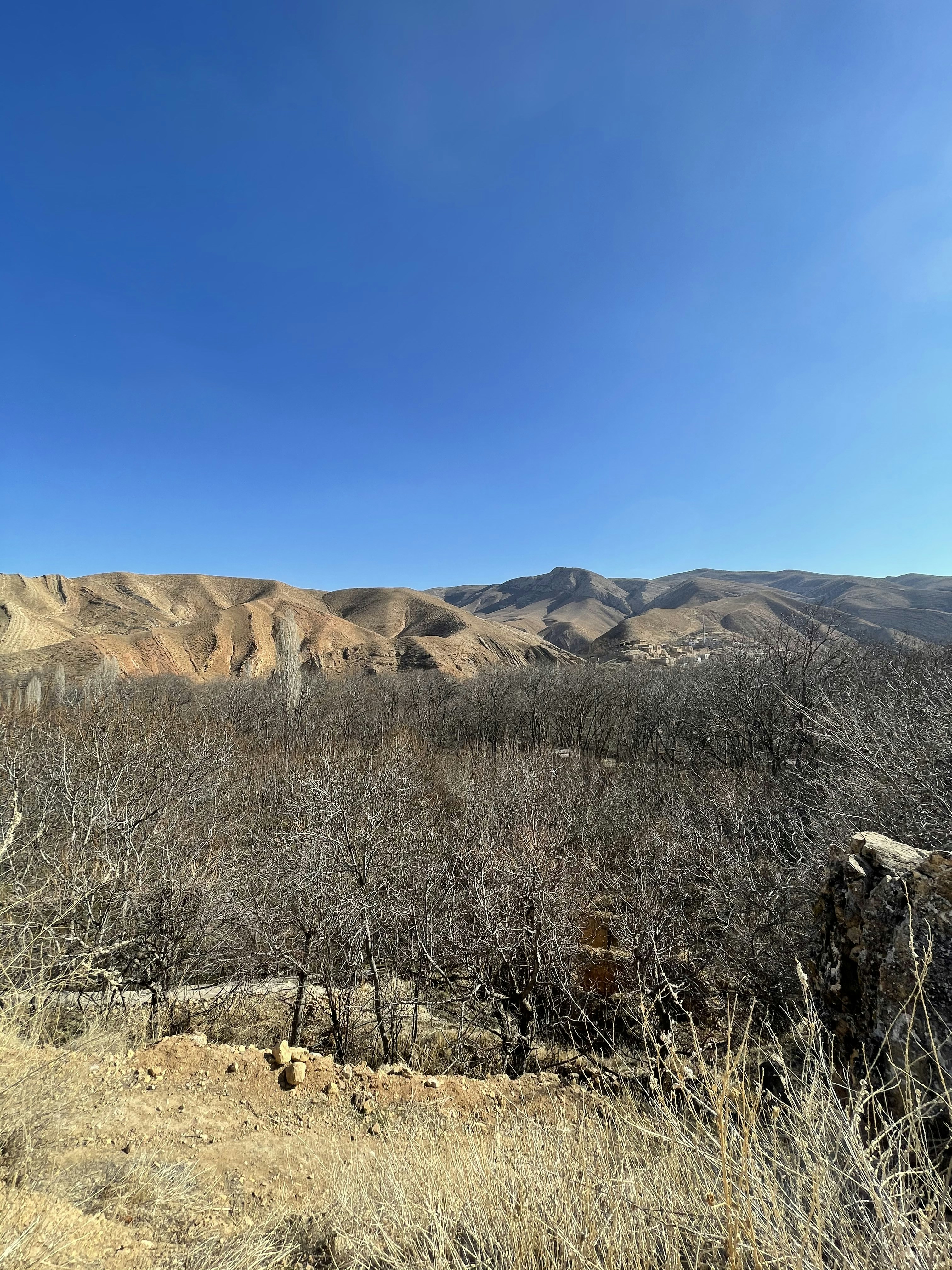 Photo by niloofar_b1991