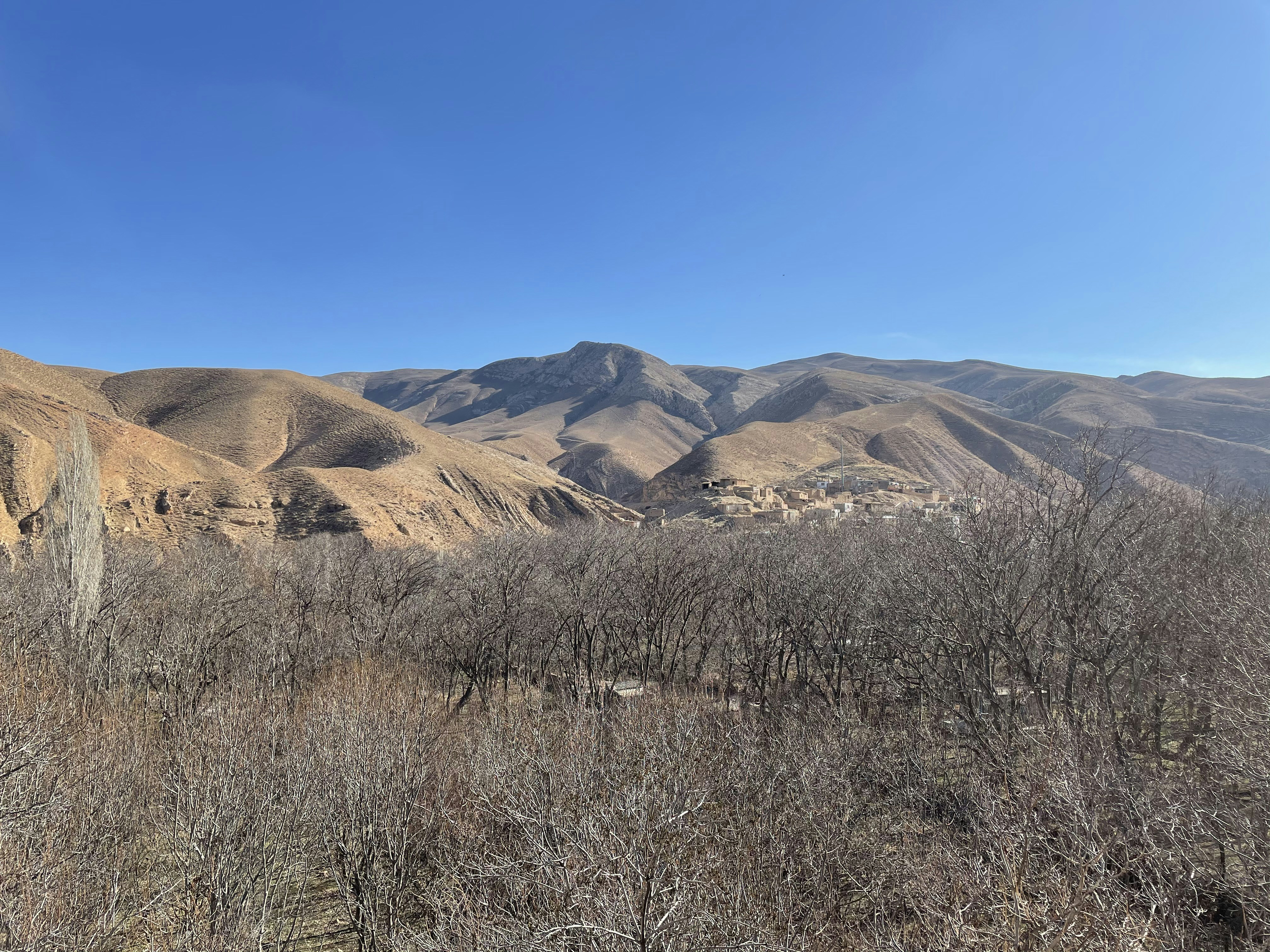 Photo by niloofar_b1991