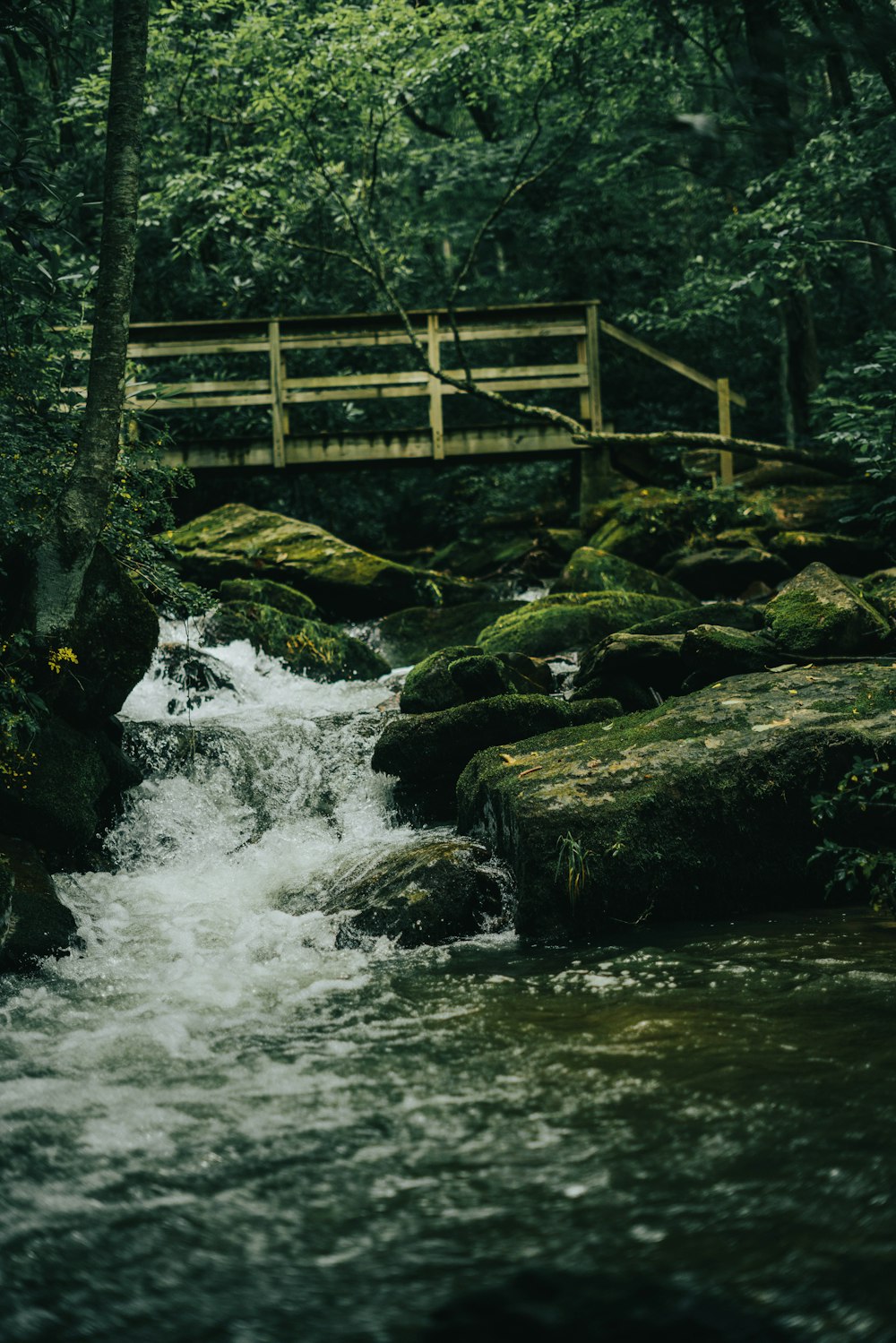 brown wooden bridge over river