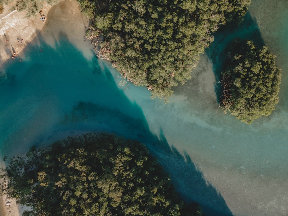 aerial view of green trees and white sand beach