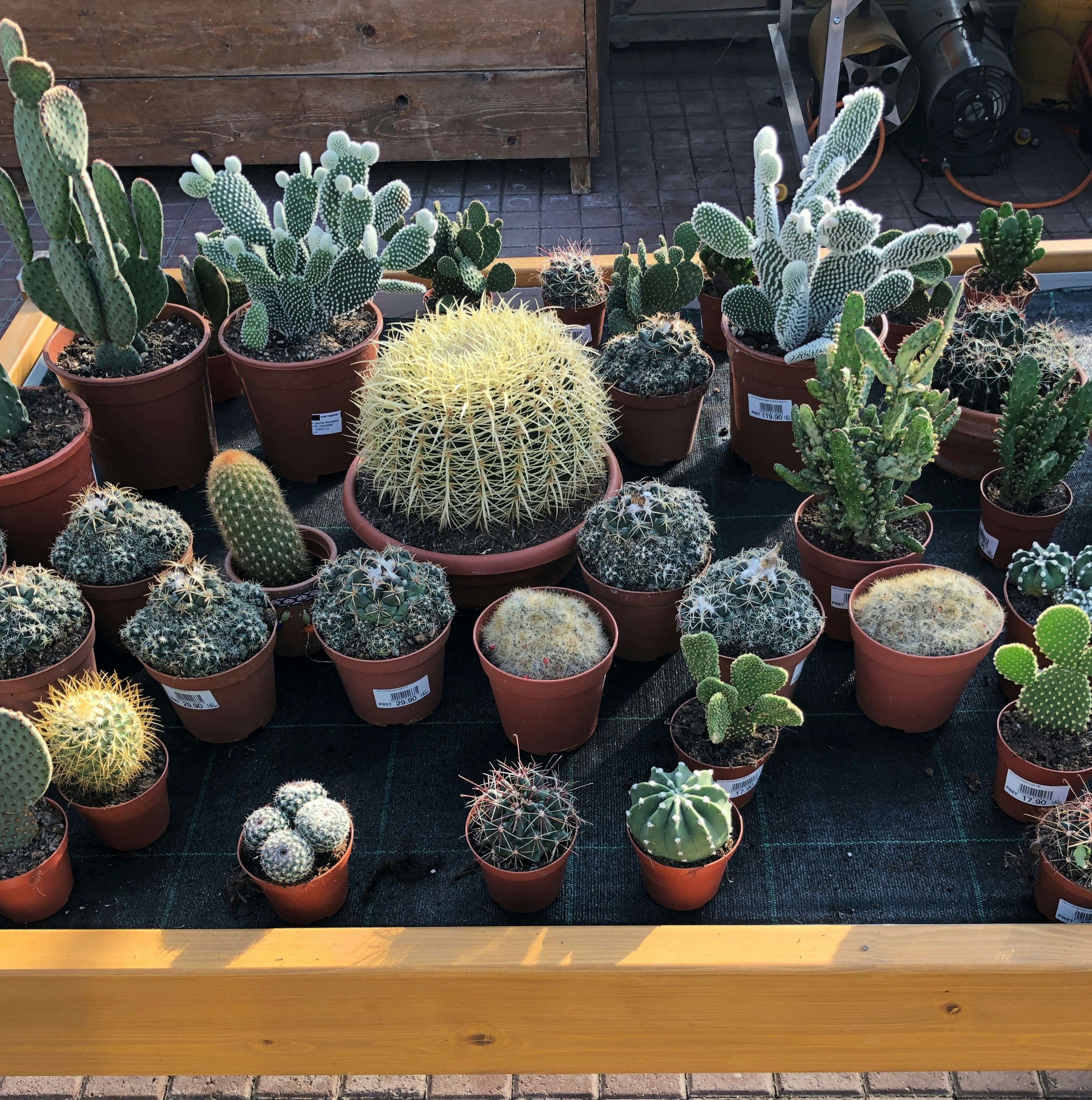 Photo by alldaybradley