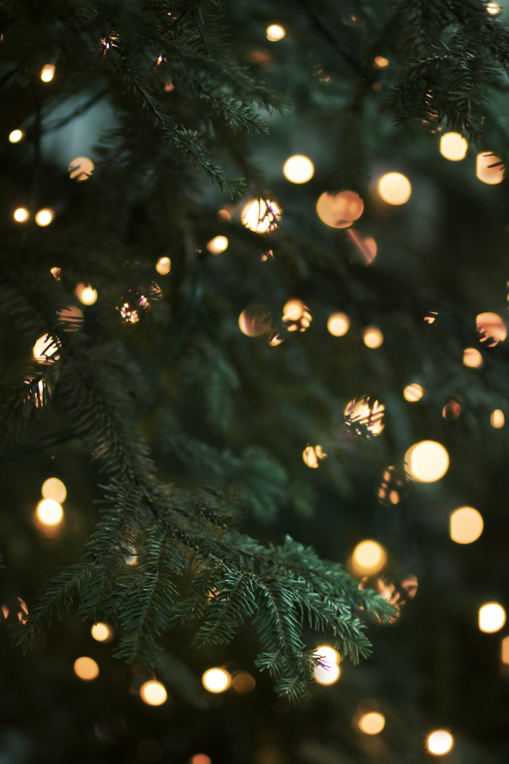 Árbol de Navidad verde con luces de cadena