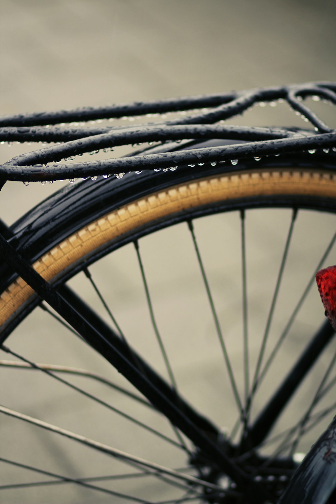 black bicycle wheel with tire