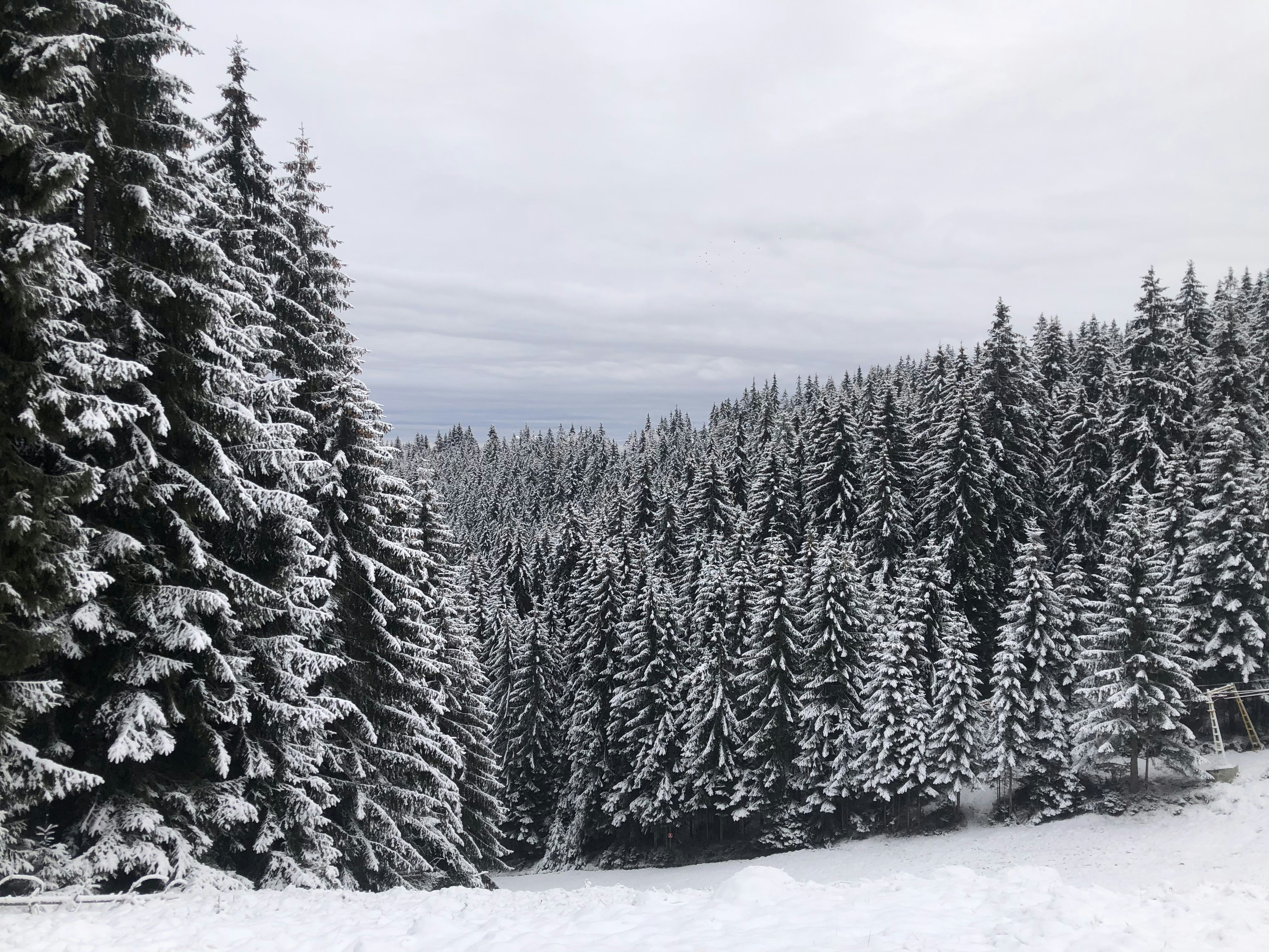 Photo by alldaybradley