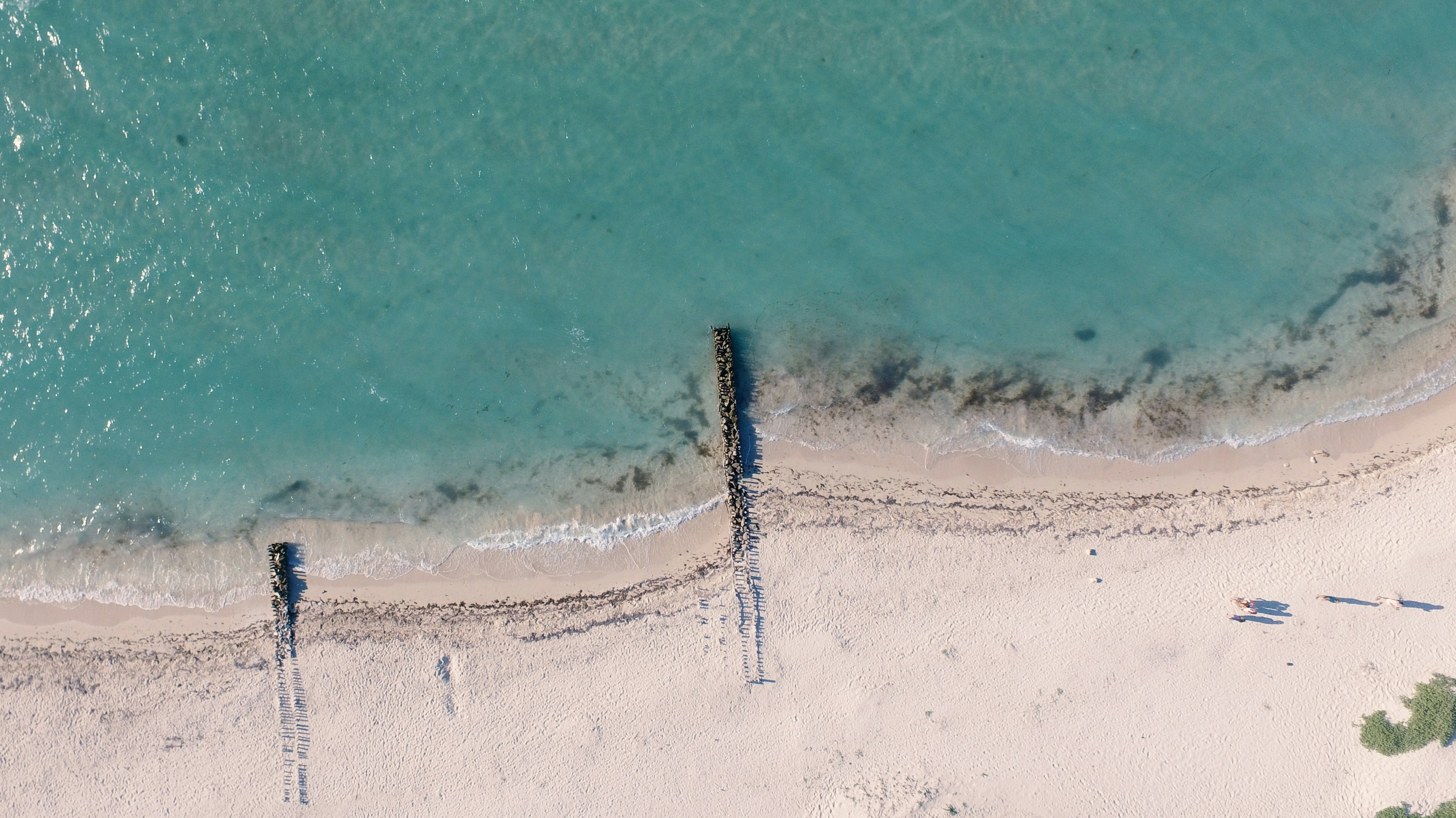 Photo by jorgezapatag