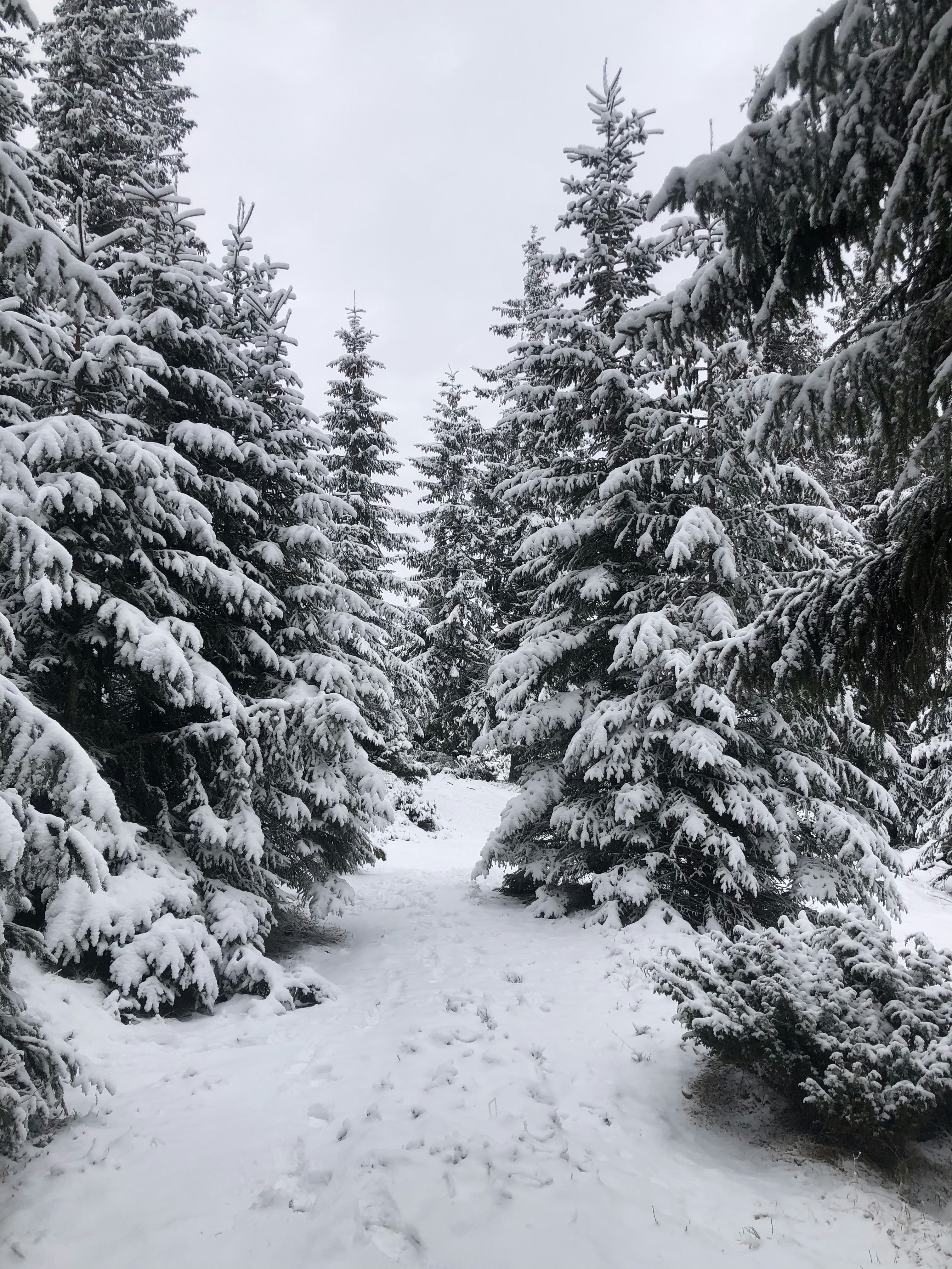 Photo by alldaybradley