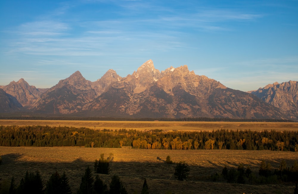 green trees and mountains during daytime