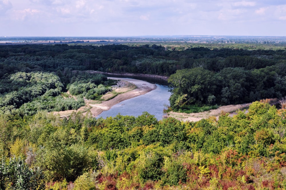 Grüne Bäume in der Nähe des Flusses während des Tages