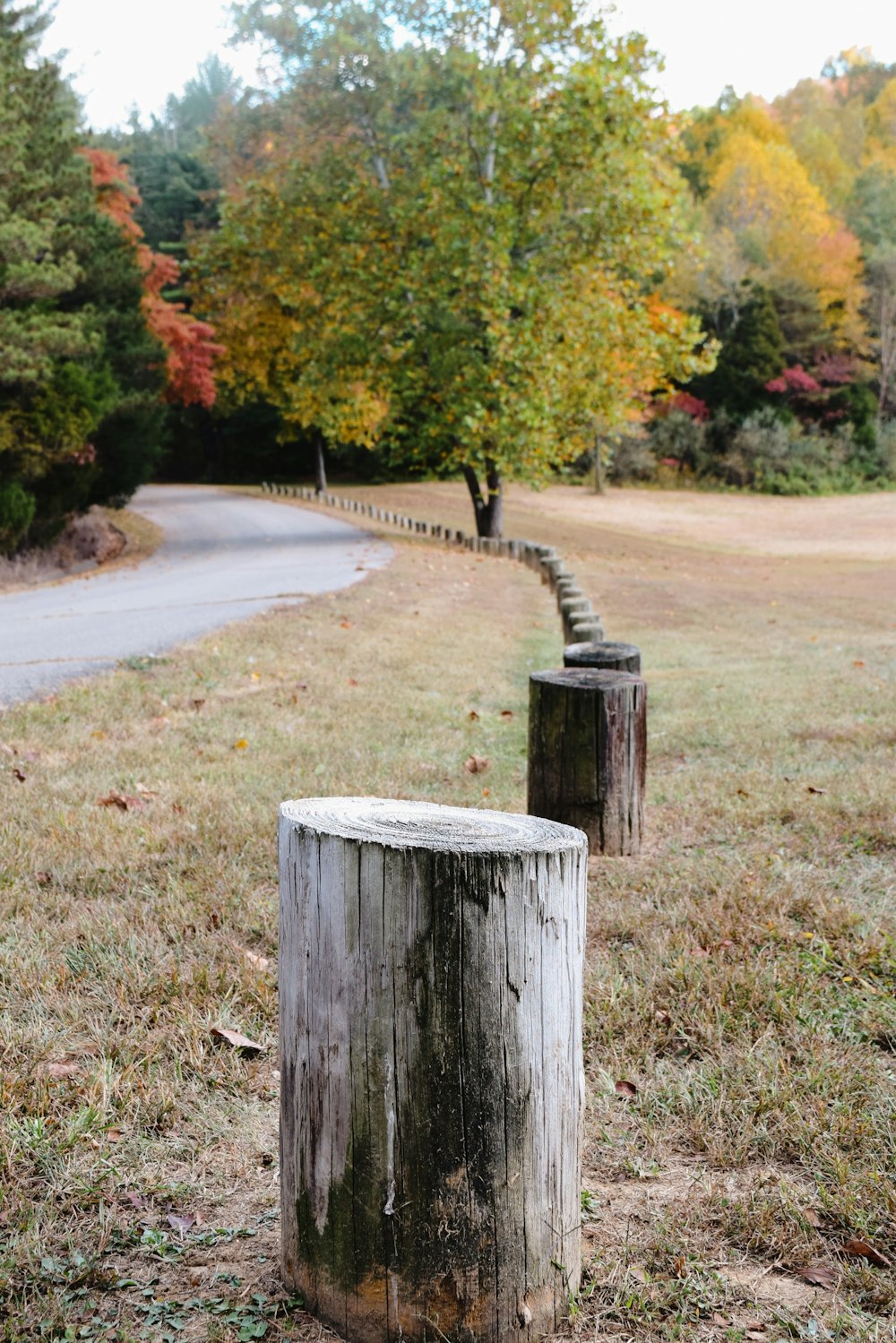 brown wooden post on gray concrete road