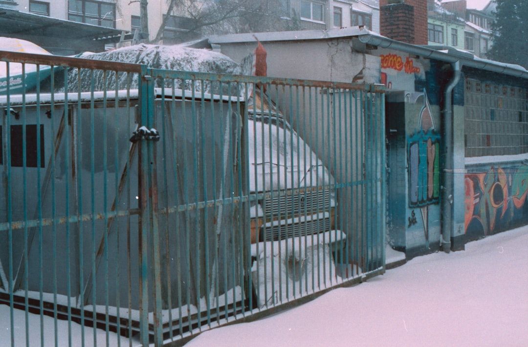 green metal gate during daytime