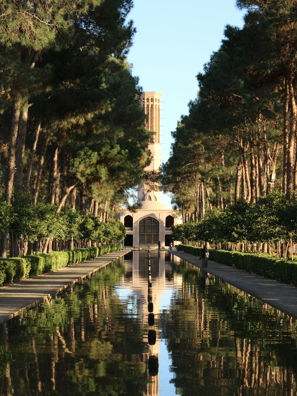 persone che camminano sul parco durante il giorno