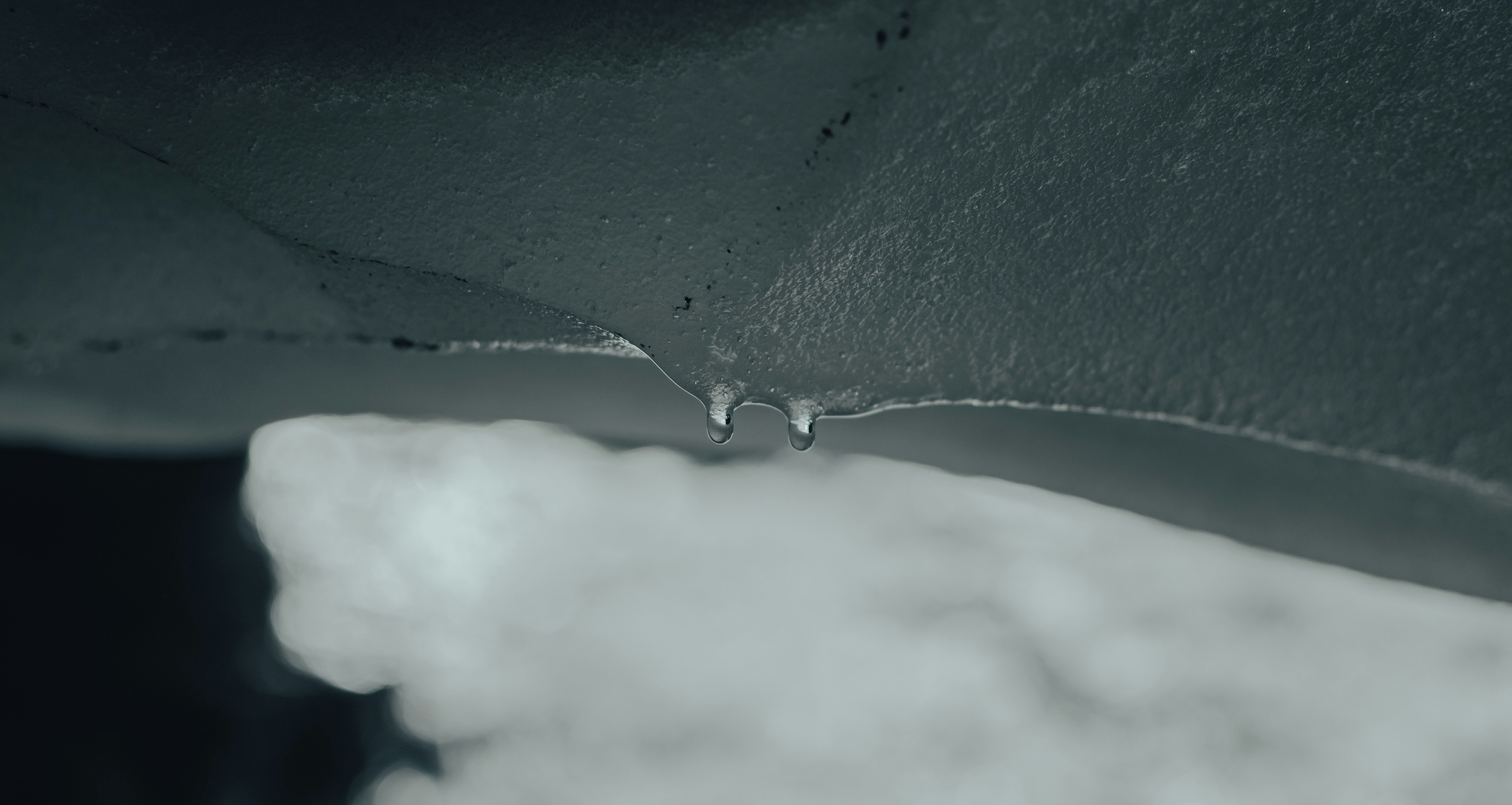 Photo by gasparzaldo