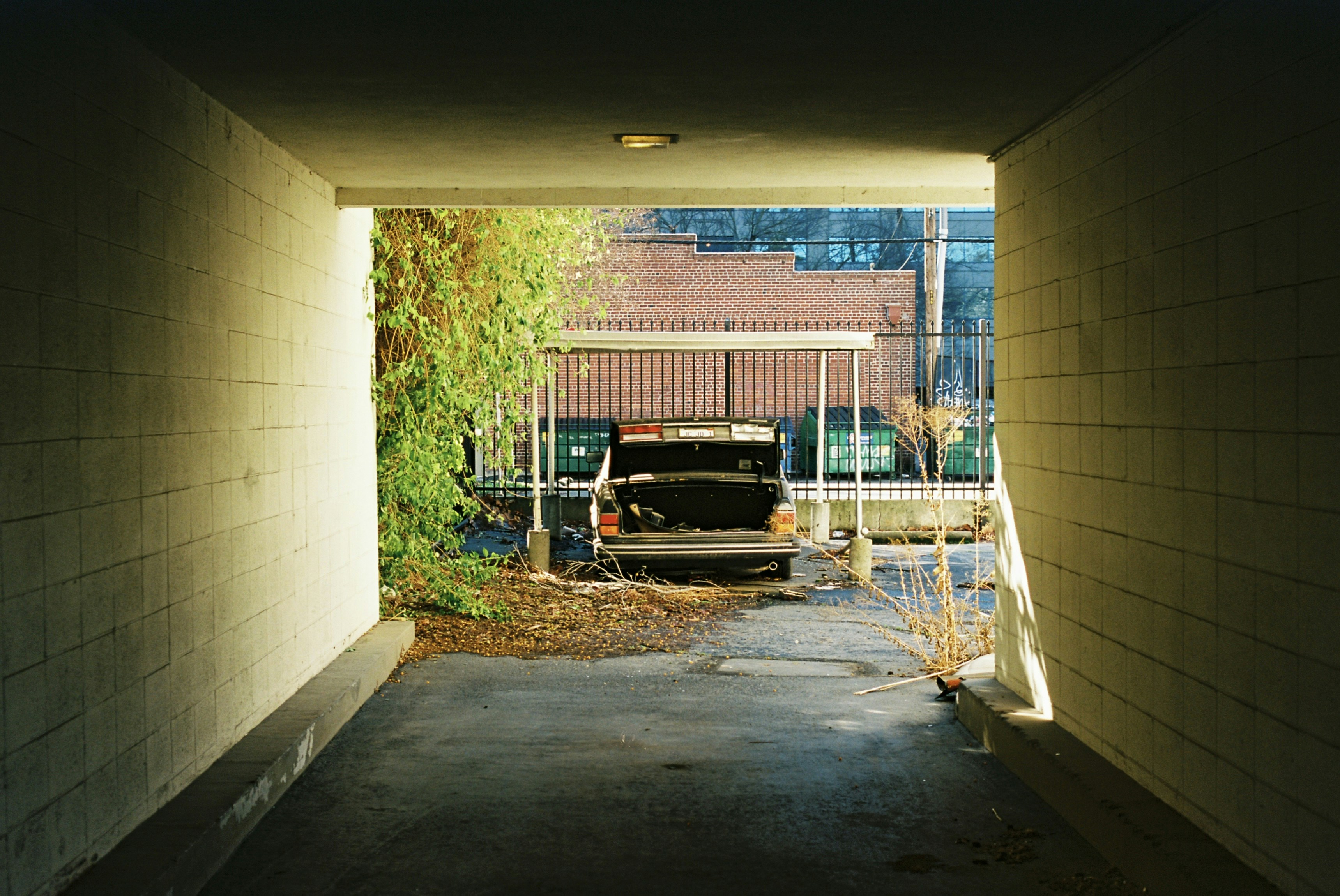 Photo by relentlessjpg