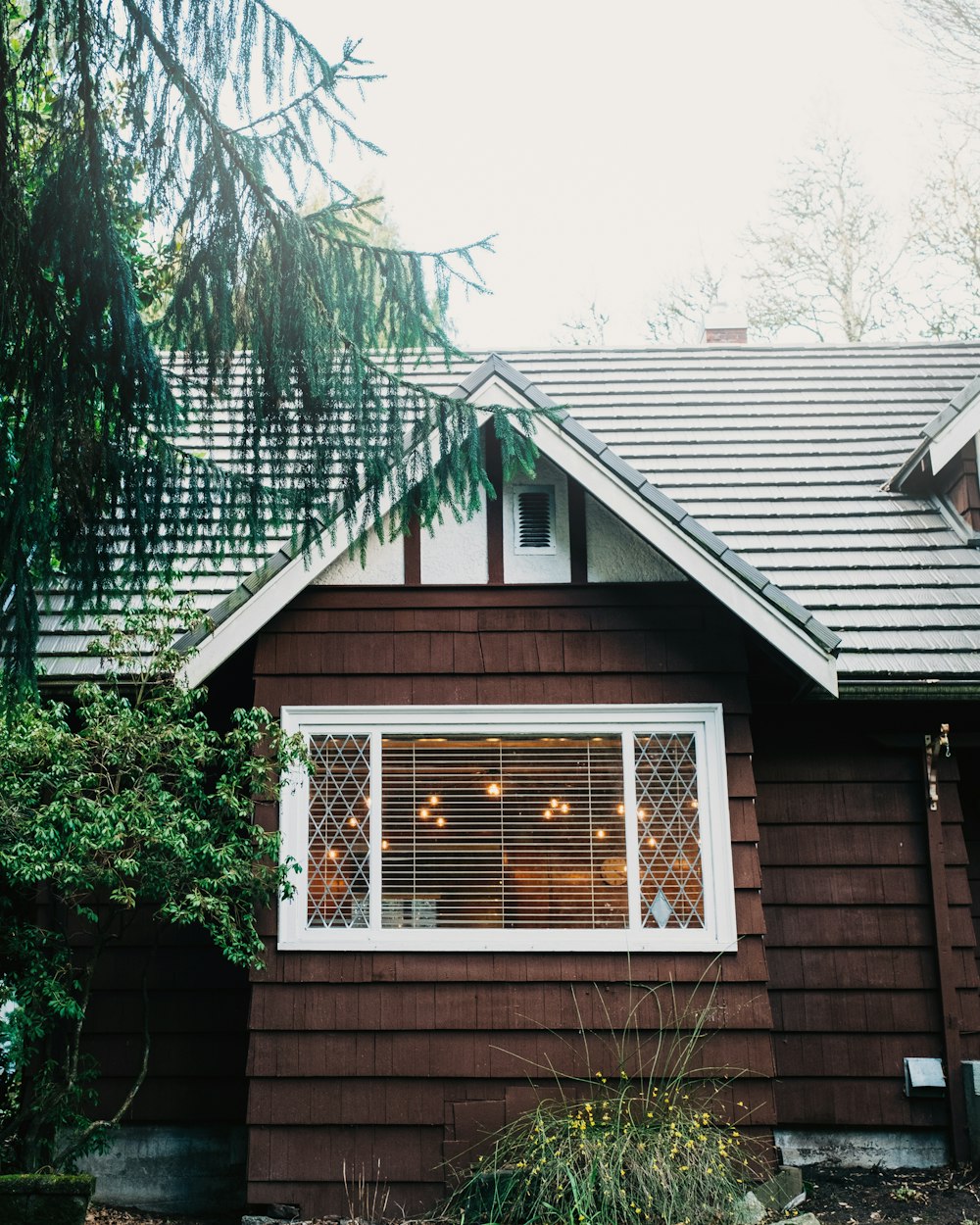 brown wooden house with green plants