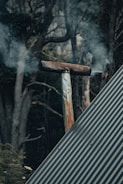 A rusted chimney pipe is emitting smoke against a backdrop of dense, dark forest. The foreground features a slanted, corrugated metal roof. The scene has an overcast and mysterious atmosphere with muted colors.