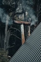 A rusted chimney pipe is emitting smoke against a backdrop of dense, dark forest. The foreground features a slanted, corrugated metal roof. The scene has an overcast and mysterious atmosphere with muted colors.