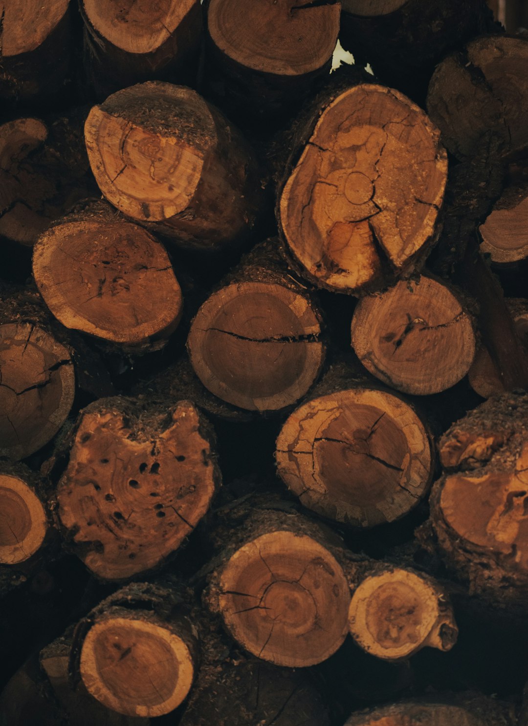 brown and black wood logs